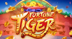 mdl97login VIP Cashback Bonus Live Casino အကျိုးကျေးဇူးများ